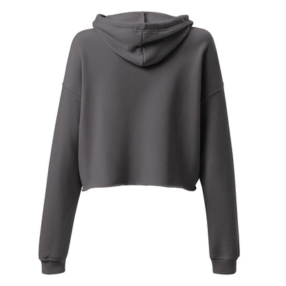 FDT Crop Hoodie in storm grey, back view — Bling Assassin