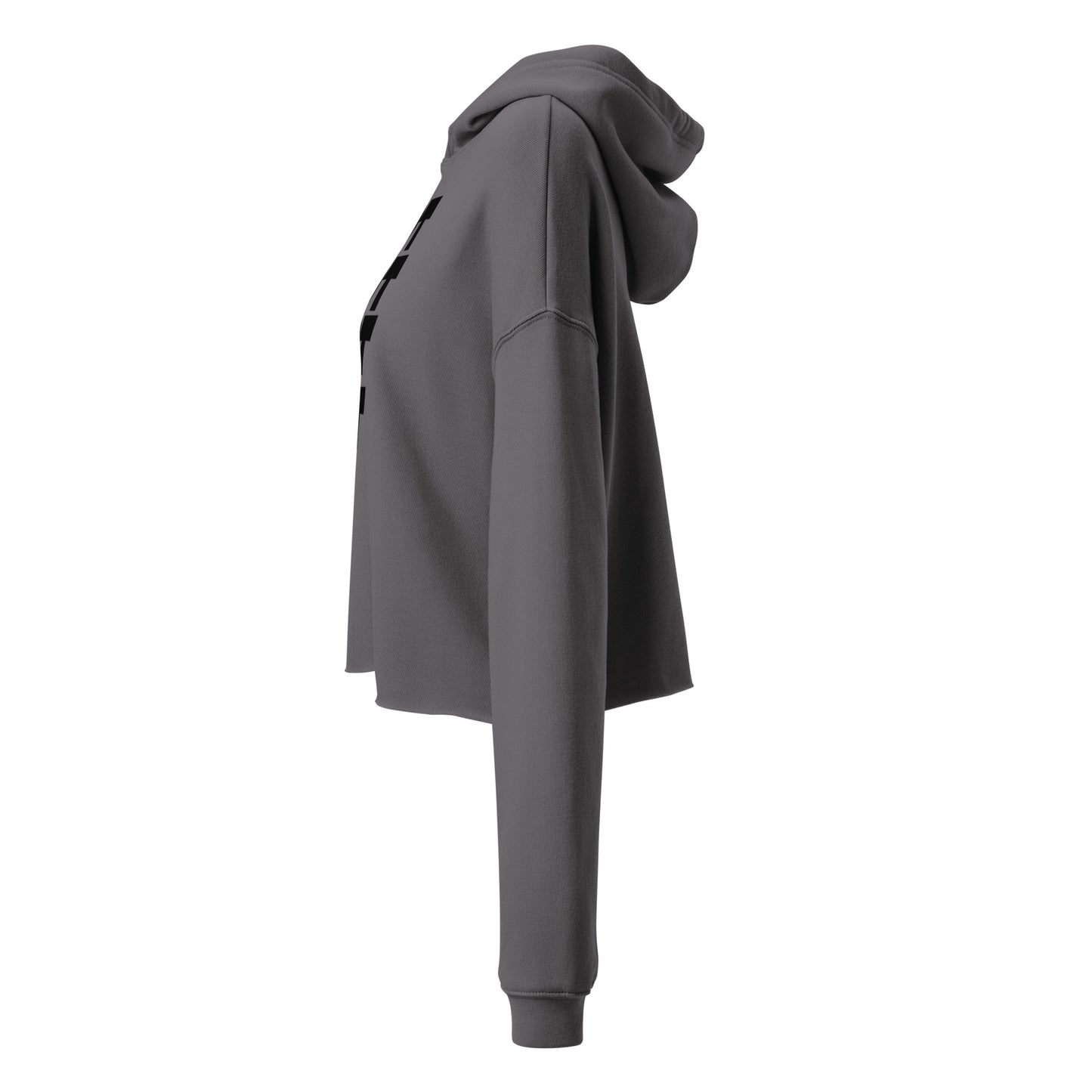 FDT Crop Hoodie in storm grey, left side view — Bling Assassin